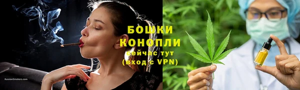 индика Куйбышев