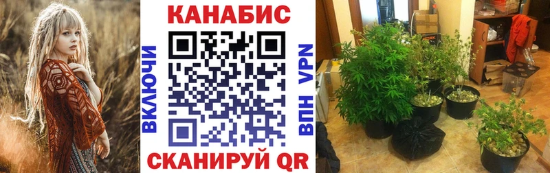 blacksprut ссылки  Щучье  Бошки Шишки конопля 